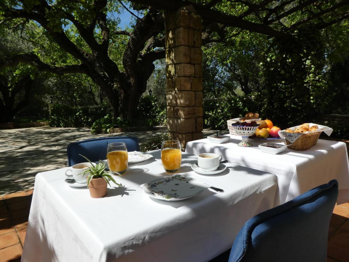 Domaine Du Paradis Des Oiseaux Mougins Eksteriør billede